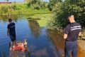 Ушла гулять, но домой не вернулась: родители заявили о пропаже 8-летней девочки