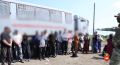 Полиция нашла 13 нелегалов в теплицах Аргаяшского района