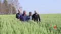 В Аргаяшском районе полицейские провели рейды в тепличных хозяйствах