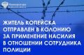 Копейский городской суд вынес приговор по уголовному делу в отношении 51-летнего местного жителя
