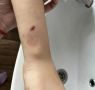 �� ������ ������� ������ ��������� ������� ������������� ����� ������������������� �������