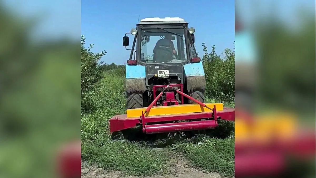 «Григорьевские сады» выходят на новый уровень технической оснащенности и развивают агротуризм