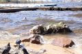 На челябинских водохранилищах произведут максимальный сброс воды