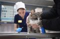 Где работают лучшие айболиты? Продолжаем прием заявок на конкурс «Ветклиника года»