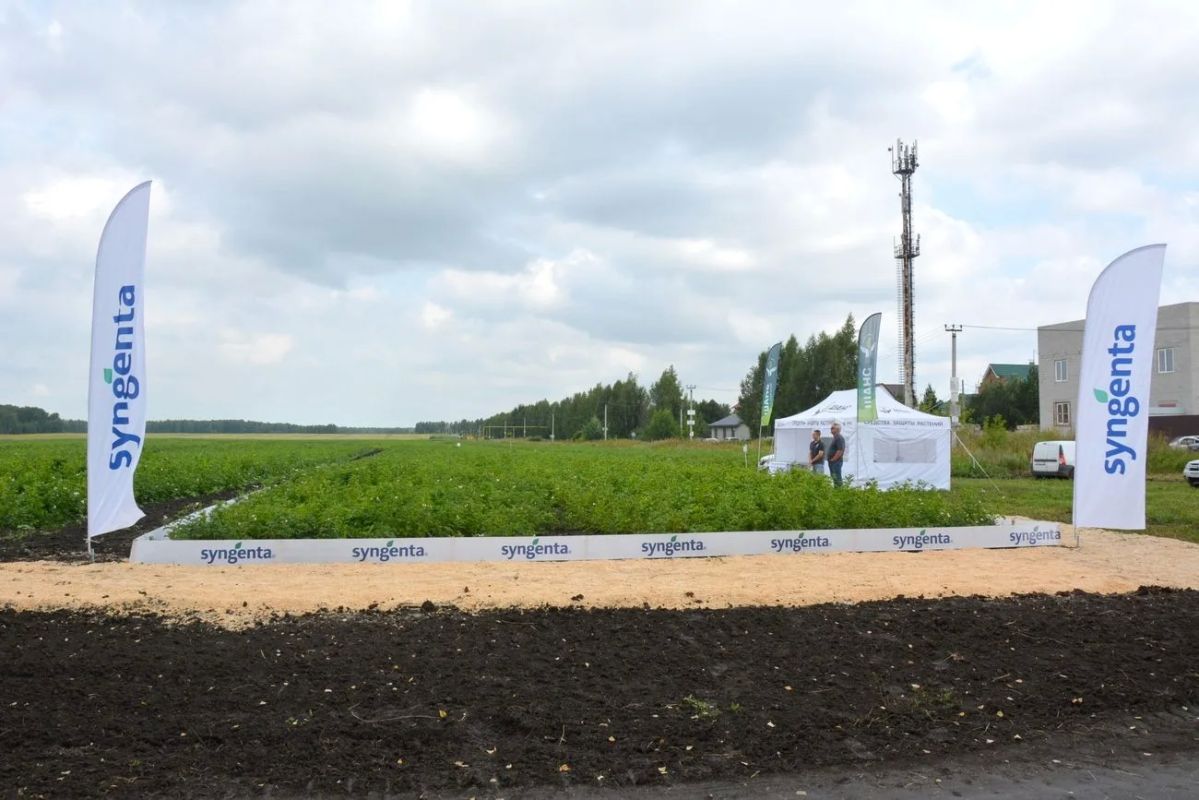 «День картофельного поля 2026» в Челябинской области поддержали партнеры ЮУНИИСК «День картофельного поля 2026» в Челябинской области поддержали партнеры ЮУНИИСК