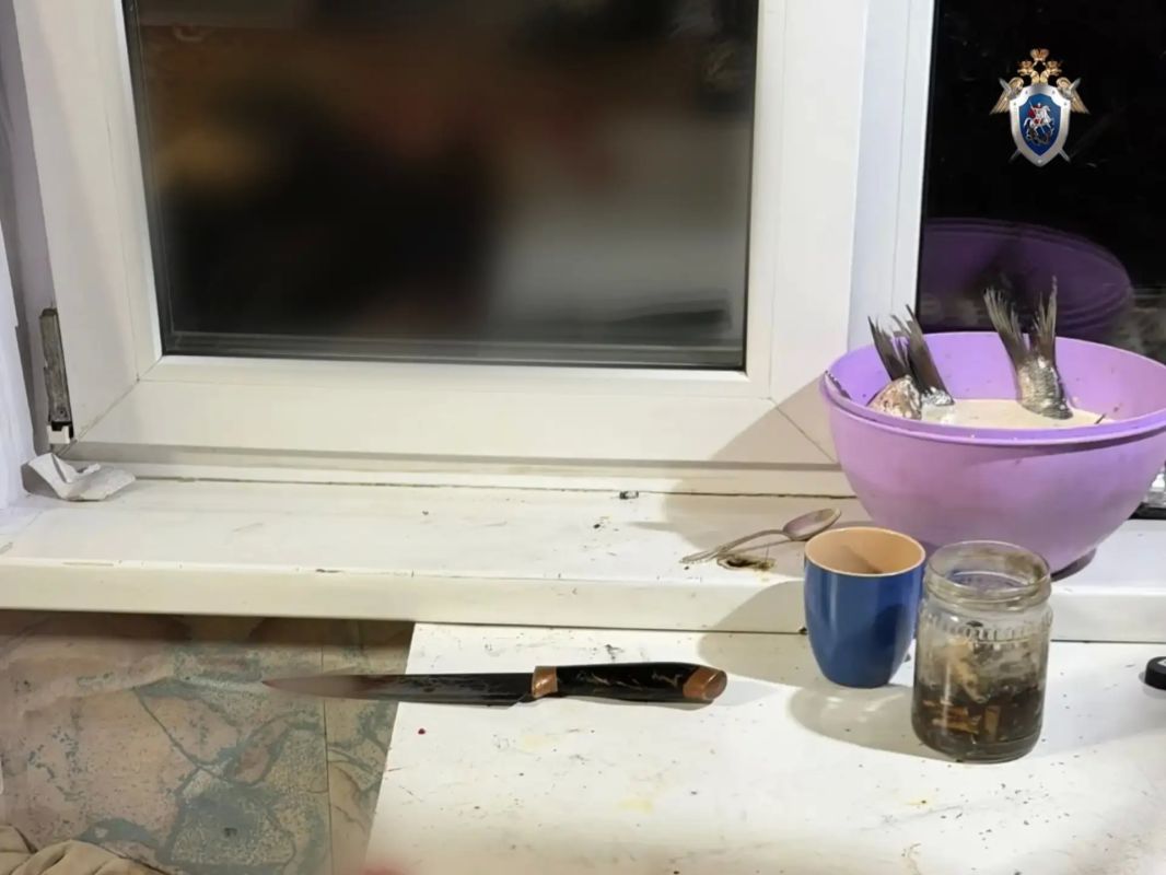 В Миассе перед судом предстанет местная жительница за убийство сожителя В Миассе перед судом предстанет местная жительница за убийство сожителя