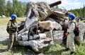 Собаки-спасатели показали мастерство на полигоне под Челябинском