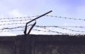 Жителя Челябинской области осудили на 13 лет за убийство двоюродного брата