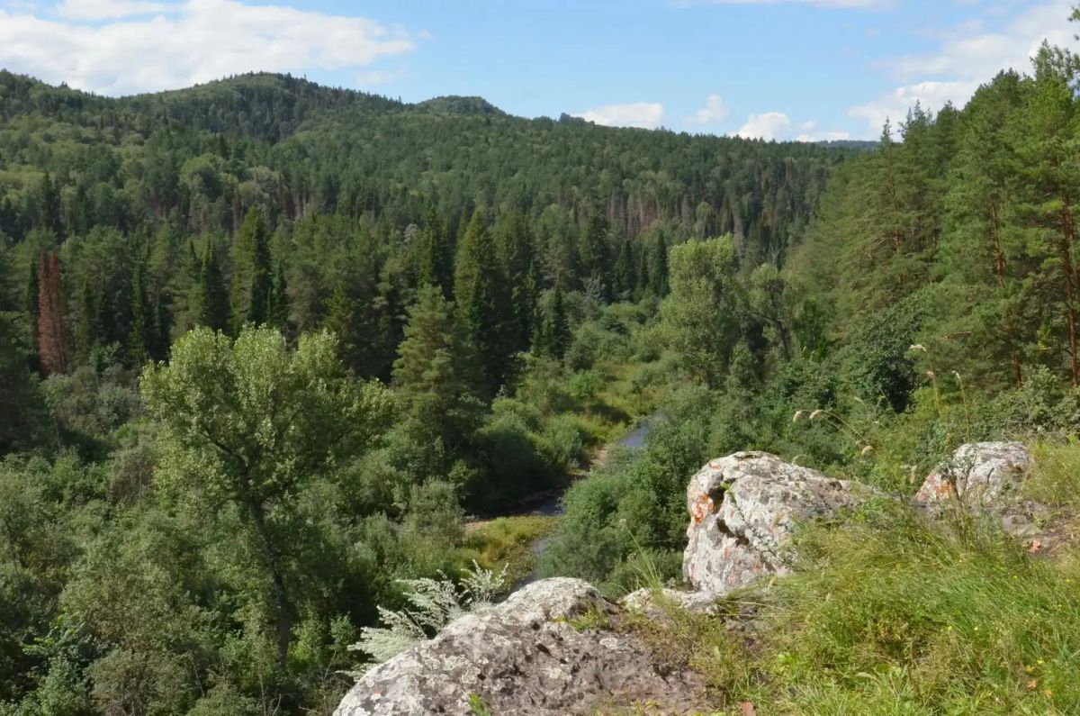 В Серпиевском заказнике проверили, как идут работы по восстановлению экологической тропы, а также состояние кормушек и солонцов для животных