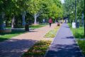Сегодня, 6 августа, в Челябинской области будет переменная облачность, без существенных осадков, утром в горах местами туманы