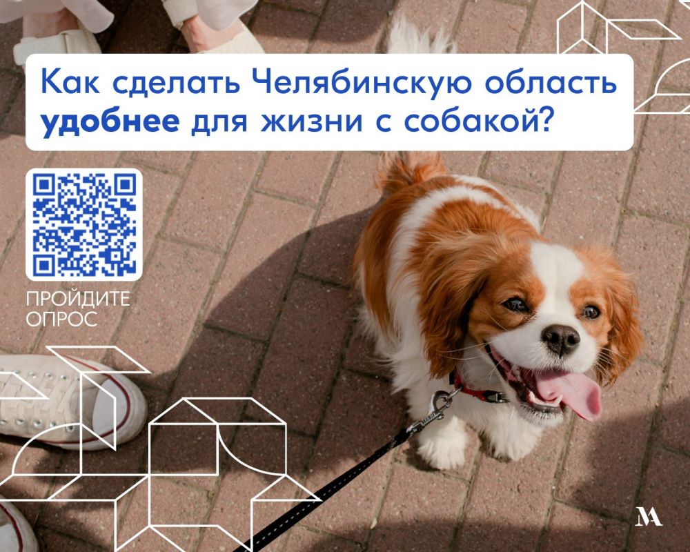 Что сделать, чтобы в Челябинской области было удобно жить с собакой?