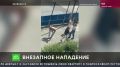 Очень страшные минуты пережил маленький житель Челябинска, а теперь большую тревогу испытывают его родители