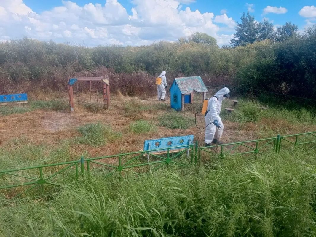 Спасцентр возвращается домой Спасцентр возвращается домой
