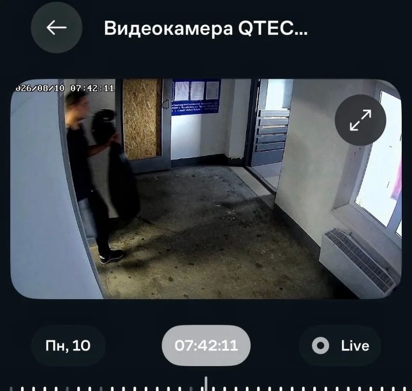 В Чурилово мужчина выкинул в мусорку пакет с живыми котятами В Чурилово мужчина выкинул в мусорку пакет с живыми котятами
