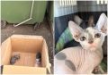 �������� � ����� � �������� �� �������: � �������� ������� ��������� �� ����� ����� � ������