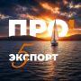 Осталось два дня до окончания регистрации на бизнес-лагерь «ПРО'ЭКСПОРТ»