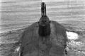 Молодые и красивые. Истории героев, не вернувшихся с подлодки «Курск»