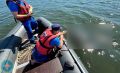 Одного прибило к берегу, второй утонул: катание на сапбордах на Большом Кременкуле закончилось трагедией
