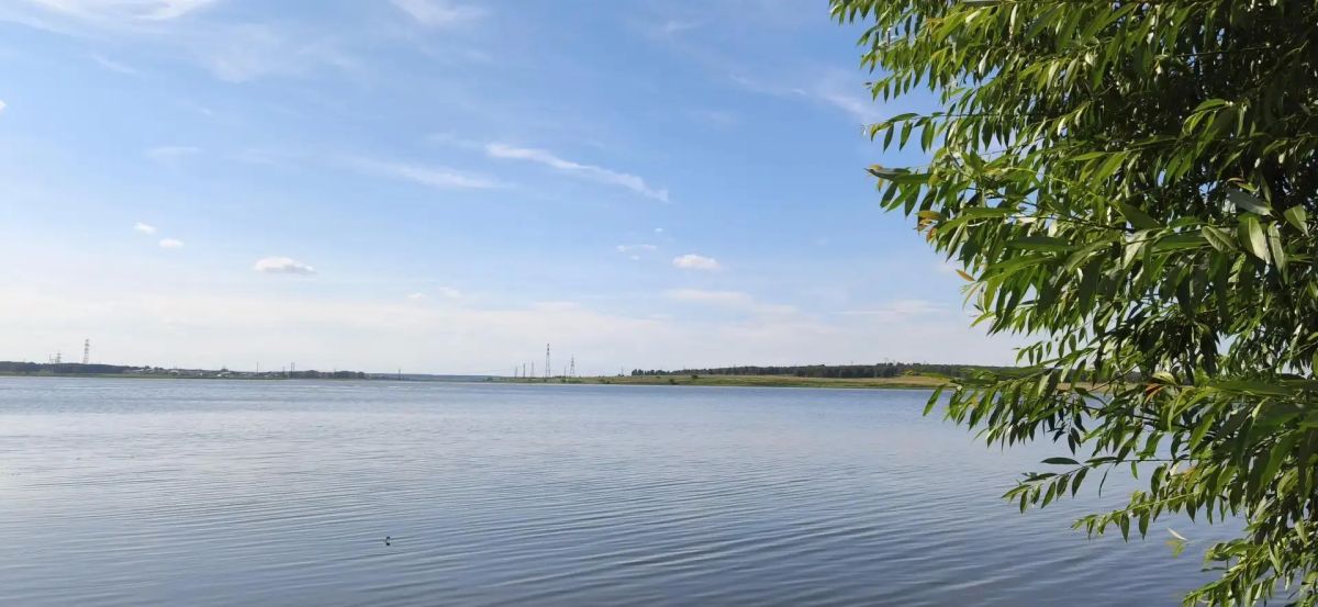 В Шершневское водохранилище выпустили более 11,5 тысячи мальков сазана
