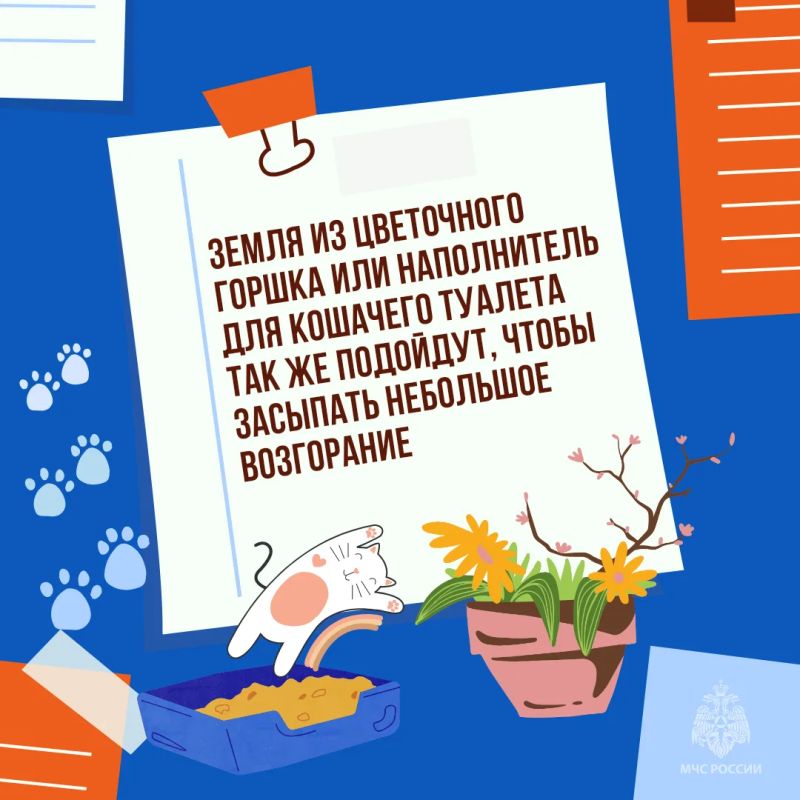 Что делать, если вспыхнул огонь, а воды и огнетушителя нет? Что делать, если вспыхнул огонь, а воды и огнетушителя нет?