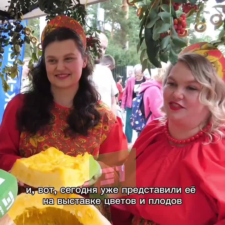 Золушка бы явно удивилась. В Челябинске тыква превратилась