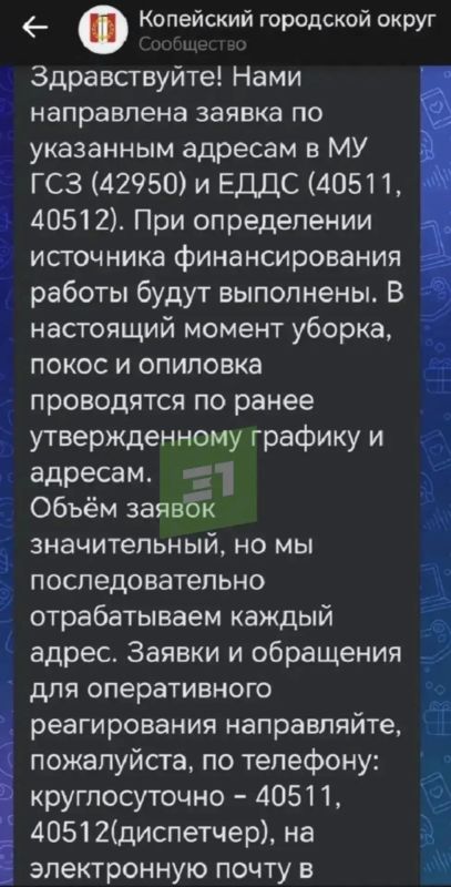 «Дерево скоро кого-нибудь прибьет, а нам предлагают ждать 2 года» «Дерево скоро кого-нибудь прибьет, а нам предлагают ждать 2 года»
