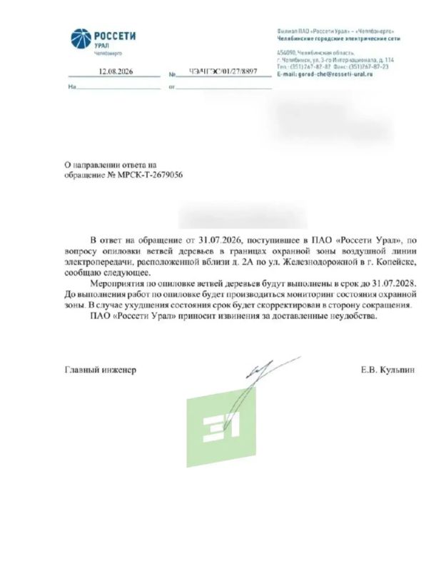 «Дерево скоро кого-нибудь прибьет, а нам предлагают ждать 2 года» «Дерево скоро кого-нибудь прибьет, а нам предлагают ждать 2 года»