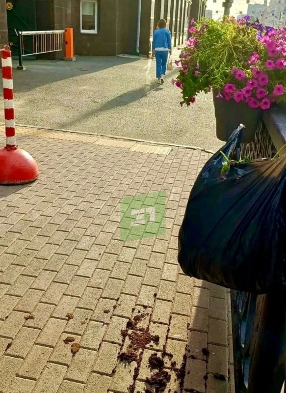 Цветочные вандалы опять погуляли по Челябинску Цветочные вандалы опять погуляли по Челябинску