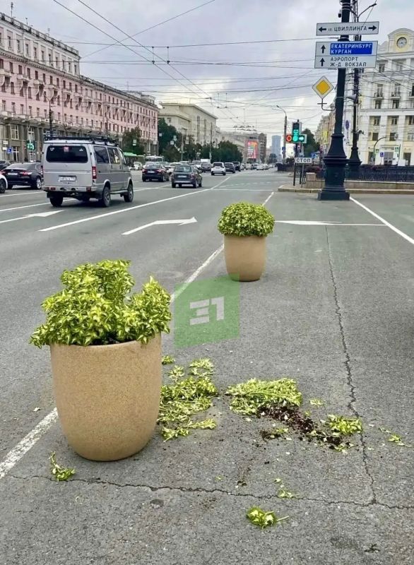 Цветочные вандалы опять погуляли по Челябинску Цветочные вандалы опять погуляли по Челябинску