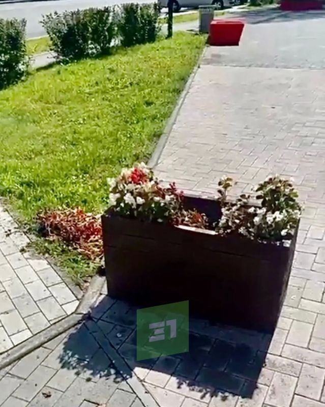 Цветочные вандалы опять погуляли по Челябинску Цветочные вандалы опять погуляли по Челябинску