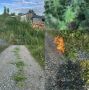 Челябинские полицейские выявили более 20 кустов дикорастущей конопли в рамках оперативно-профилактической операции «Мак-2026»