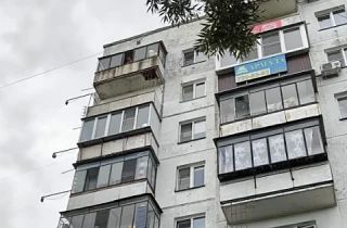 В Челябинске пятилетнего ребенка спасли от падения с девятого этажа