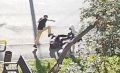 Били ногами по голове: в Челябинске подростки напали на пенсионера
