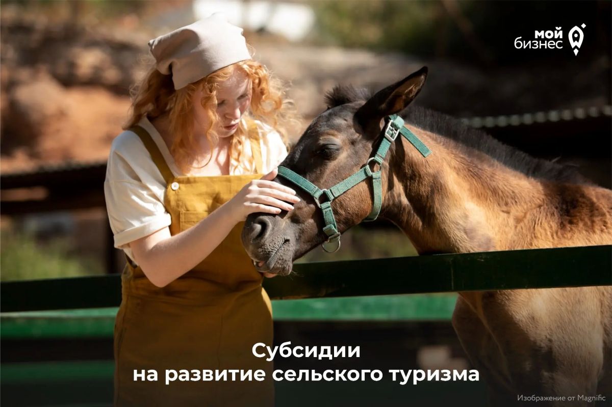 Минсельхоз региона объявляет дополнительный отбор на предоставление субсидий на развитие сельского туризма