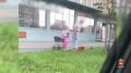 Даму, шпица и ребёнка задержали на закладке в Челябинске