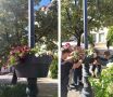 Новые кашпо с петуниями появились на Кировке в Челябинске