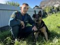 Кто ждёт пожарного дома?. 26 августа - День благодарности собаке