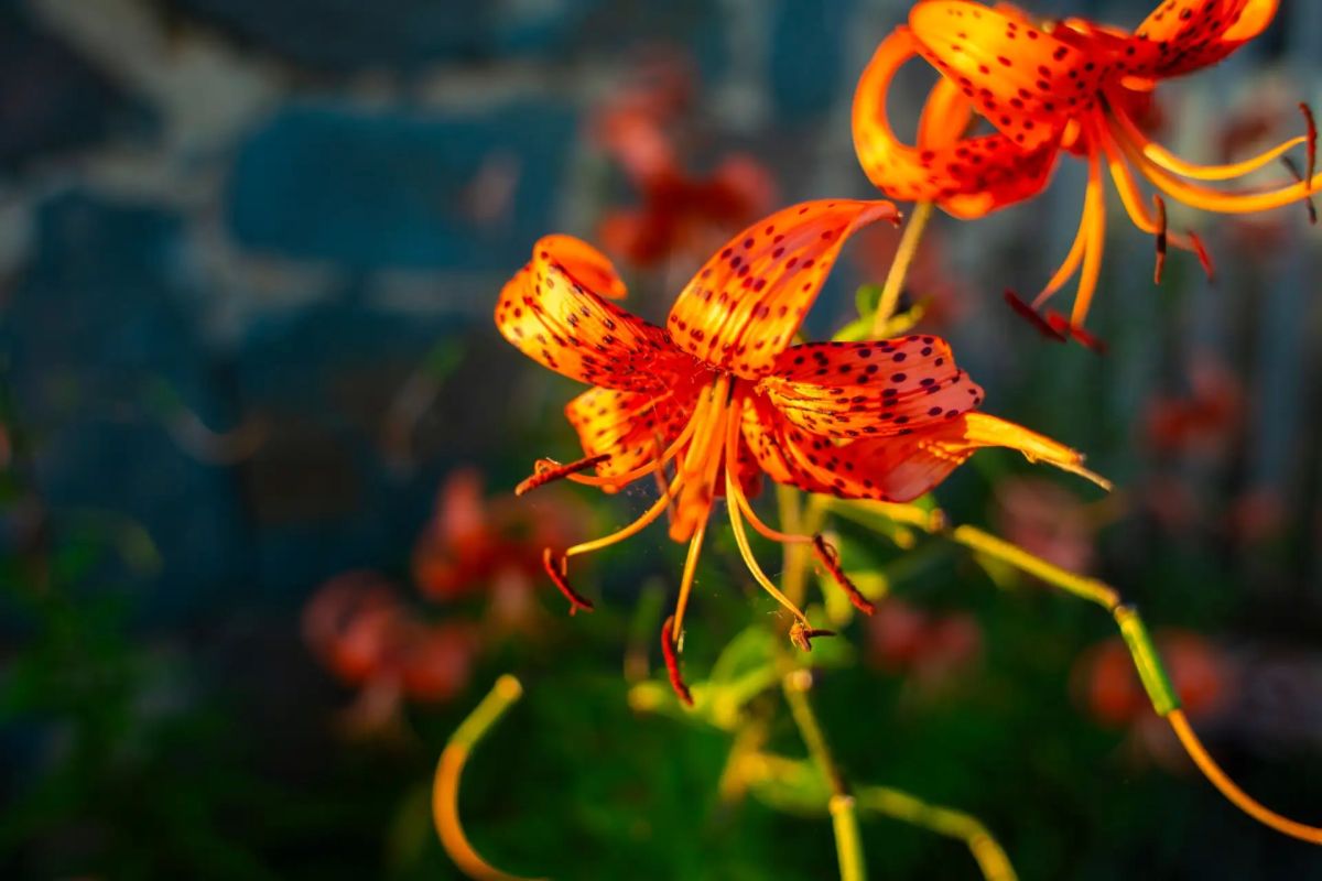 Медовый августовский Аркаим в очаровательных снимках Дмитрия Летуна Медовый августовский Аркаим в очаровательных снимках Дмитрия Летуна