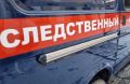 В Челябинске СК занялся девушкой, напавшей на полицейского в аэропорту
