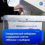 Свердловский избирком поддержал иск ЛДПР о снятии «Яблока» с выборов в заксо