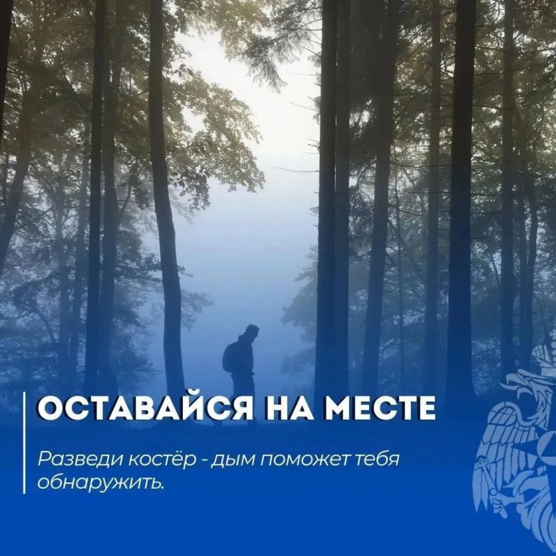 Как безопасно погулять в лесу Как безопасно погулять в лесу