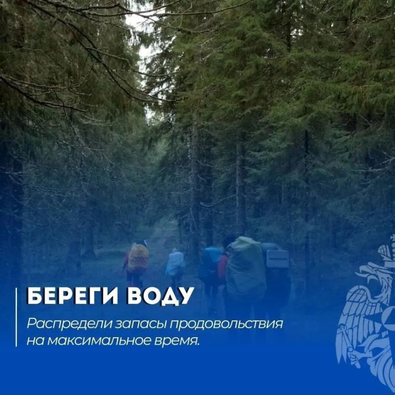 Как безопасно погулять в лесу Как безопасно погулять в лесу