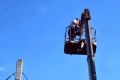 В Троицке спасли застрявшую на дереве кошку и назвали ее Василиса Микулишна