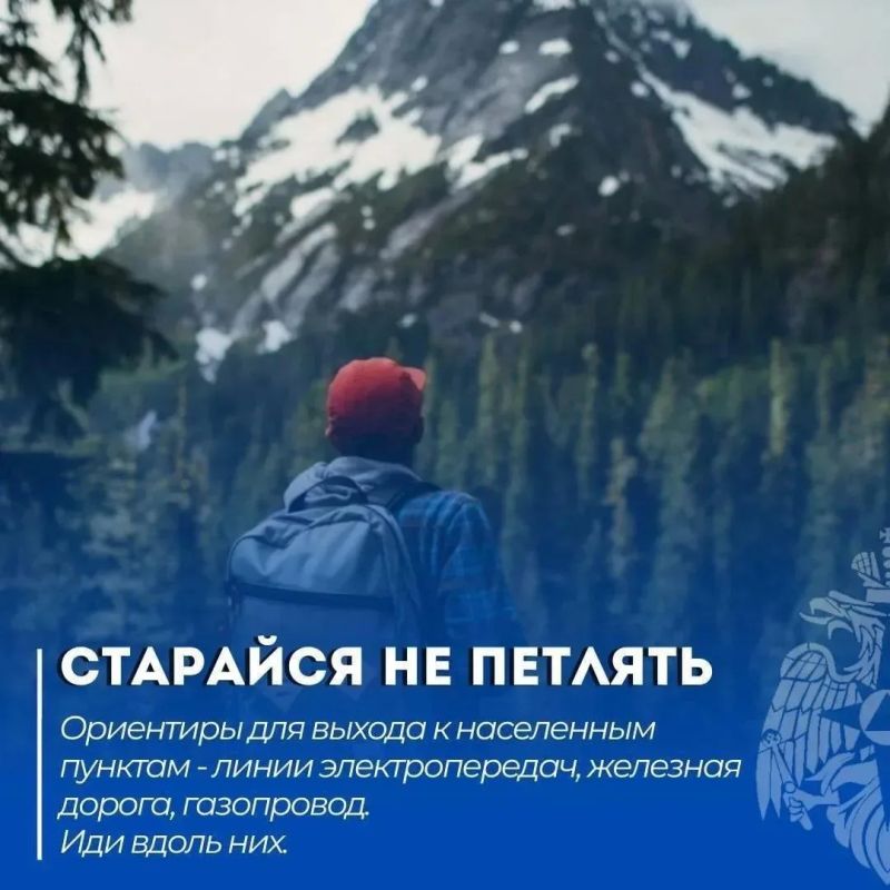 Как безопасно погулять в лесу Как безопасно погулять в лесу