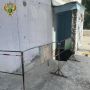 � ���� �� �������� ��������� ���� � �������