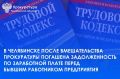 Прокуратура Ленинского района г. Челябинска провела проверку исполнения трудового законодательства