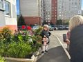 Дети такие нарядные собираются в школу