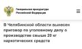 Челябинский областной суд вынес приговор по уголовному делу в отношении жителя города Магнитогорска