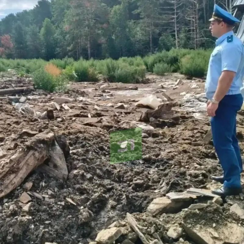 Суд закрыл южноуральское предприятие по производству мясокостной муки