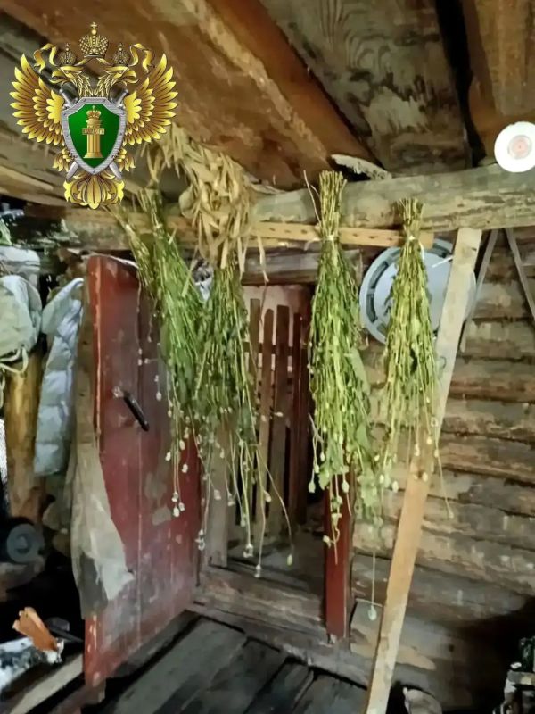 Житель Миасса ответит в суде за выращивание наркосодержащего мака и хранение 3,7 кг маковой соломы Житель Миасса ответит в суде за выращивание наркосодержащего мака и хранение 3,7 кг маковой соломы